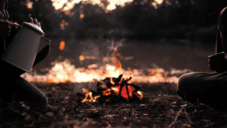 Campfire in wooded area