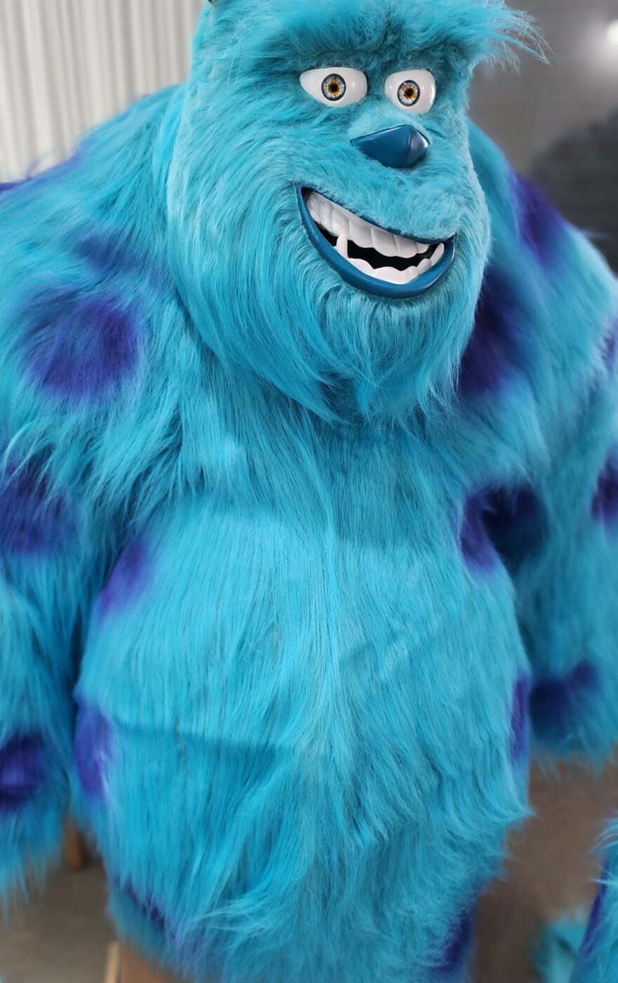 Pixar movies Costume Monsters Inc
